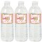 Big Dot of Happiness Sweet 16 - 16th Birthday Party Water Bottle Sticker Labels - Set of 20